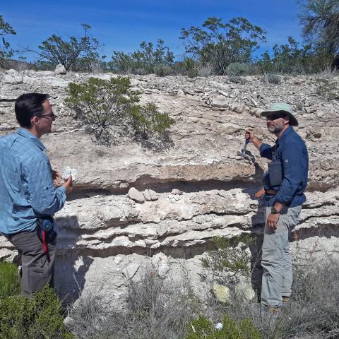 sedimentology
