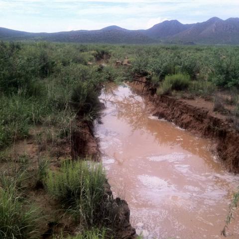earth fissure, Cochise County