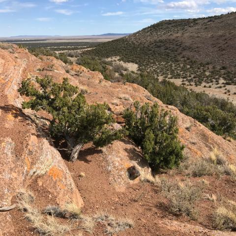 On the outer flanks of Rattlesnake Crater maar On the outer flanks of Rattlesnake Crater maar