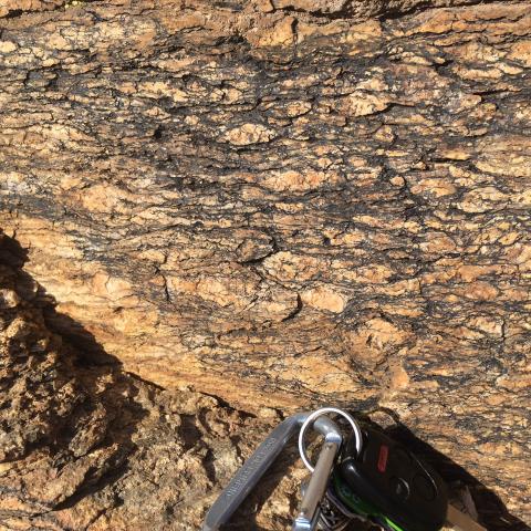 Mylonite, Tertiary, Proterozoic, gneiss, Rincon Mountains