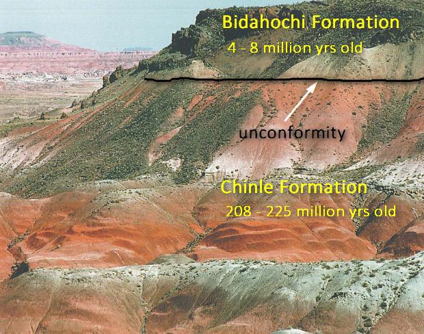 Disconformity involving the Bidahochi and Chinle Formations of northern Arizona