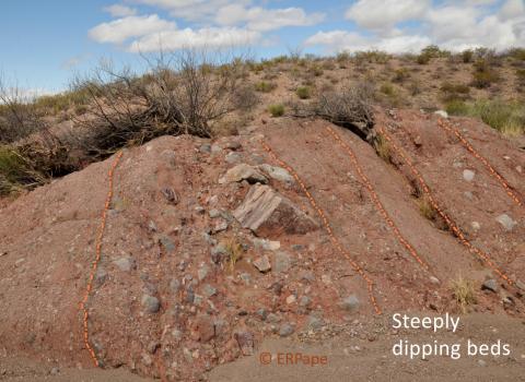 conglomerate